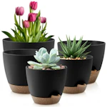 Self-Watering Plant Pots