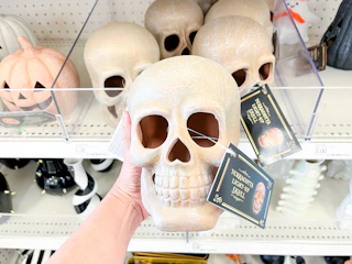 target-dollar-spot21