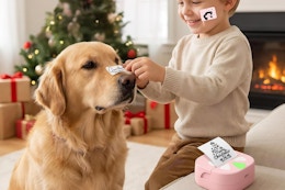 Sticker Printer B0FM7MXXCW