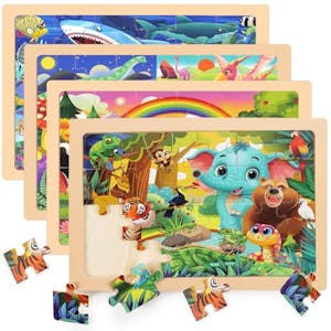 Wooden Puzzles 4-Pack