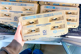 hand holding a carton of kroger eggs