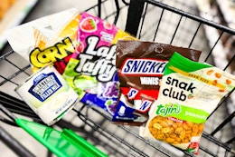 groceries in a dollar tree shopping cart