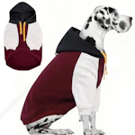 Dog Hoodie