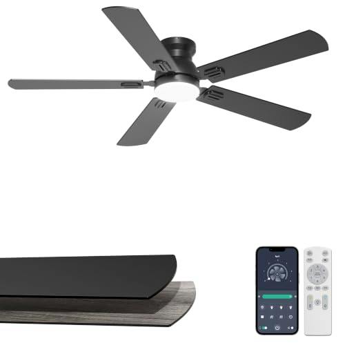 Flush Mount Ceiling Fan with Lights