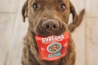 stella chewy shredrs