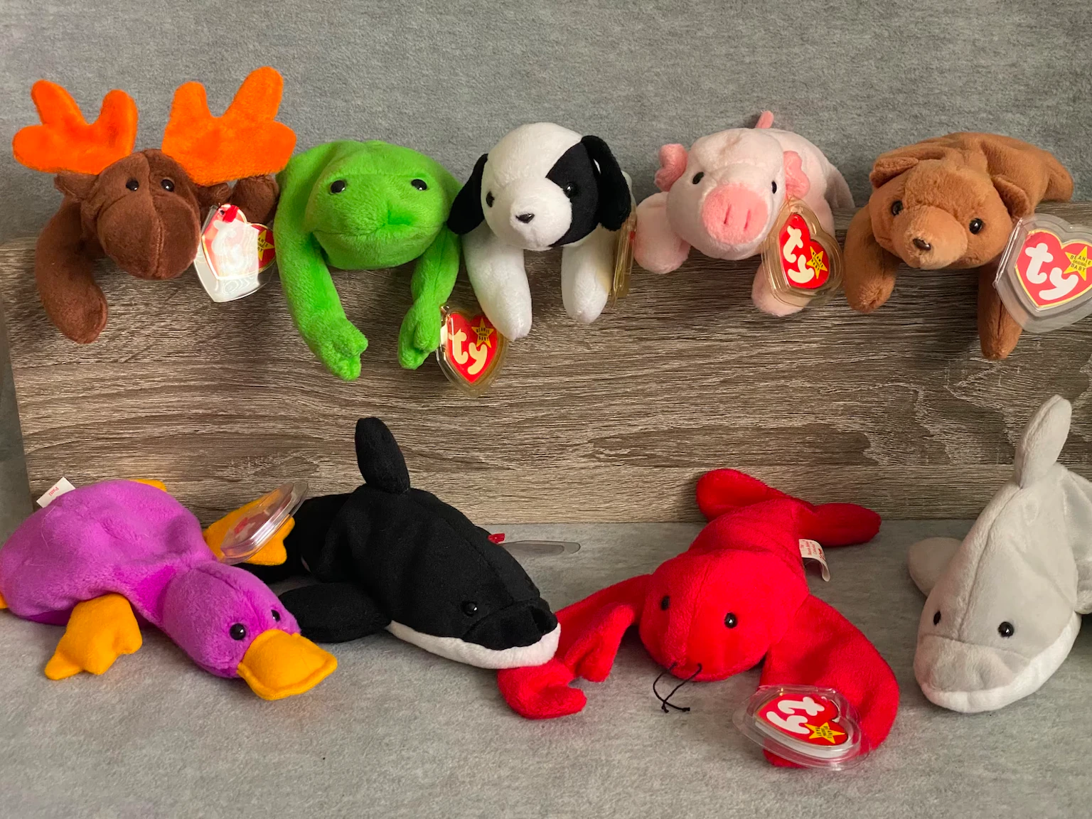 51 Most Valuable Beanie Babies: What Are Your Beanie Babies Worth