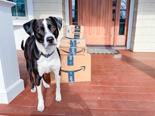 A black and white dog standing next to a stack of amazon prime boxes on the front porch of a home