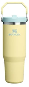 Stanley IceFlow Flip Straw Tumbler