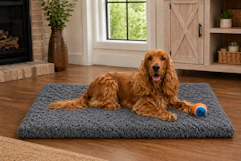 Walmart large dog bed