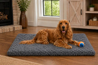 Walmart large dog bed