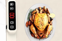 turkey on a food warming mat