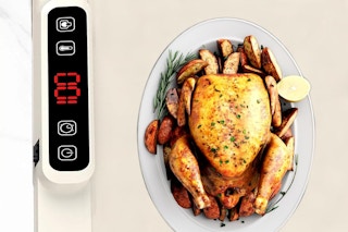 turkey on a food warming mat