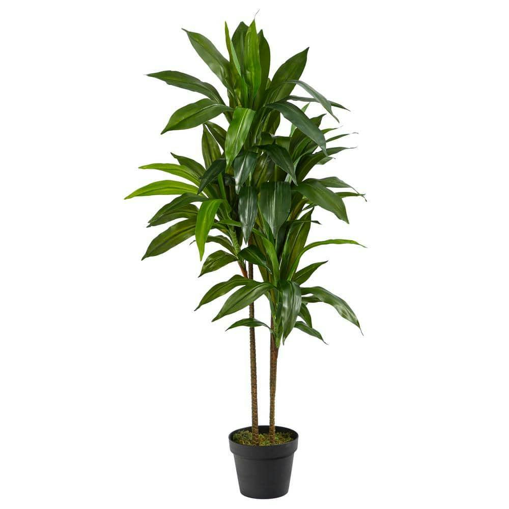 Artificial Dracaena Silk Plant
