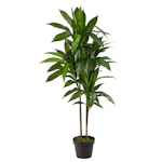 Artificial Dracaena Silk Plant