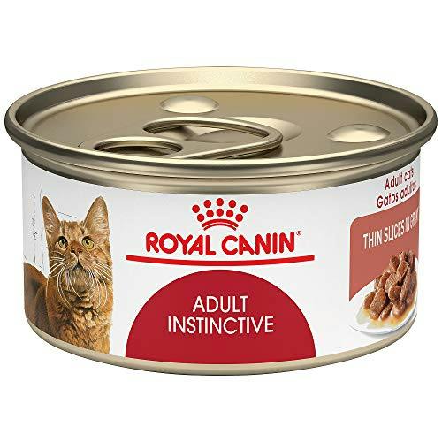 Royal Canin Cat Food 24-Pack
