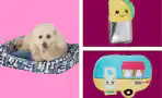 collage with pet clearance items