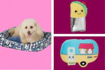 collage with pet clearance items