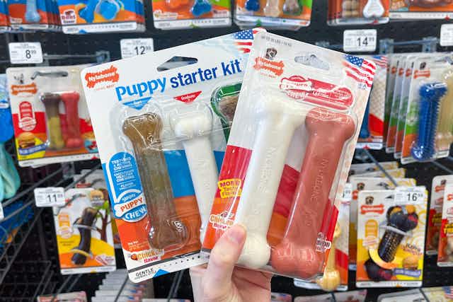 Nylabone Dog Chew Bones, as Low as $1.58 for Amazon Pet Day card image
