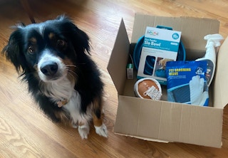 kcl favorite amazon pet finds feature box 1652061585 1652061585