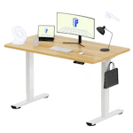 FLEXISPOT EN1 Standing Desk
