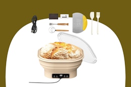 amazon electric sourdough