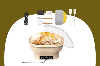 amazon electric sourdough