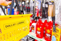 hand holding dollar general basket in front of grilling section