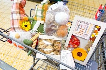 aldi-fall-finds-gnome-bowl-fillers-fabric-pumpkin-tray-objects