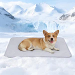 Cooling Pet Blanket