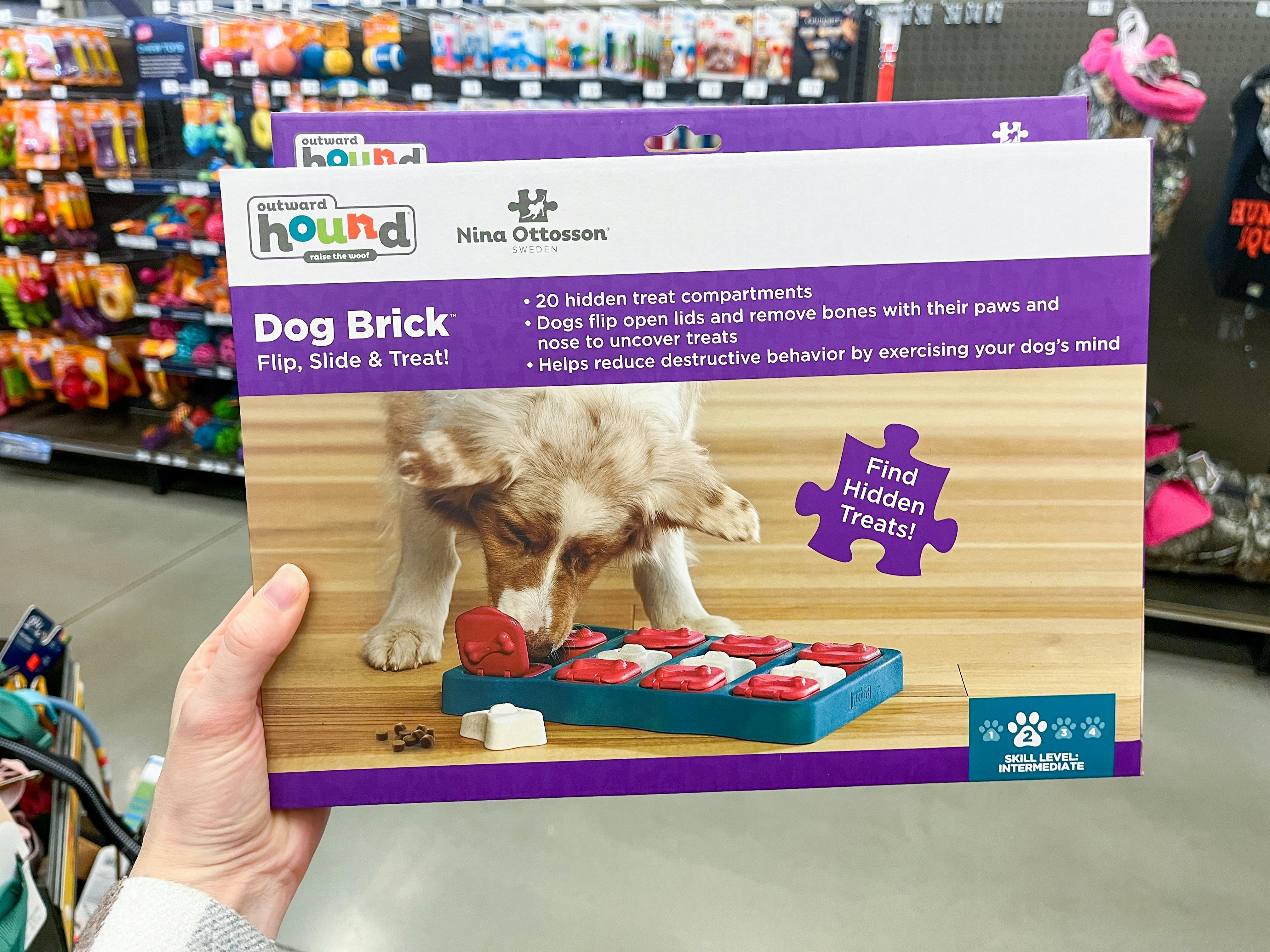 Kathryn & the Bear - New “Dogs with Jobs” puzzles in store! Dizzy is still  in training to become a shop dog but is excited about all the other job  opportunities! 🥰🔨 🐶