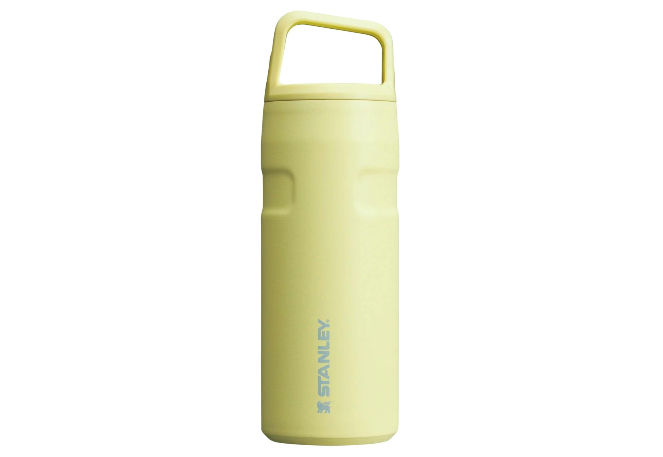 Stanley IceFlow Bottle