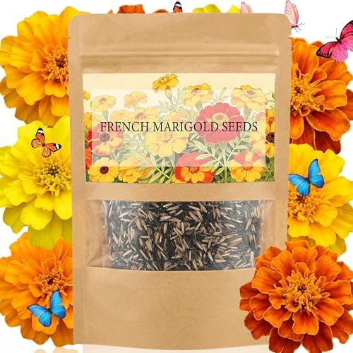 French Marigold Seeds