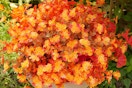 Artificial Flowers