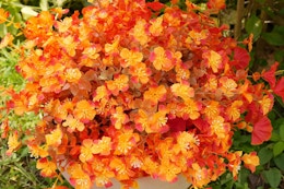 Artificial Flowers