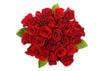 2 Dozen Premium Roses Bundle