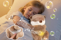 B0FNWWC71H Otter Plush