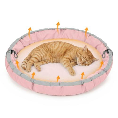 Cat Bed