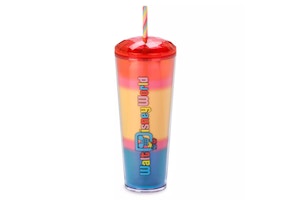 Disney Starbucks Tumbler