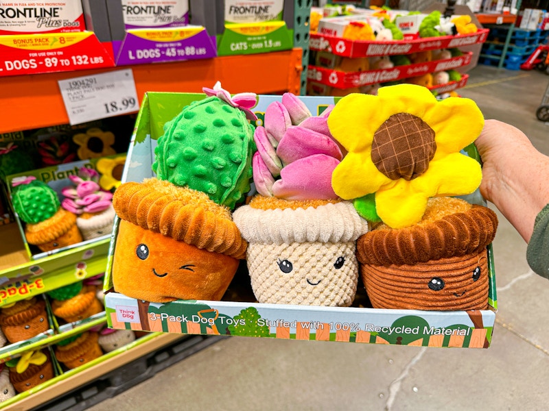 costco-plant-pals-dog-toys-1