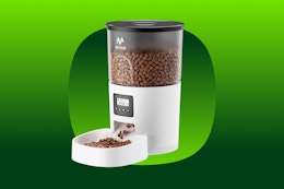 Get This Automatic Cat Feeder for $29.99 at Walmart Before It's Gone card image
