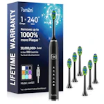 Sonic Electric Toothbrush