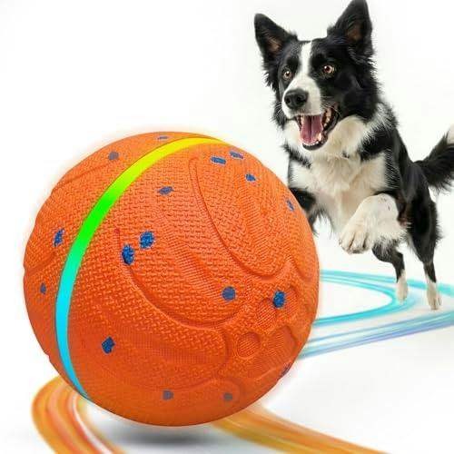 Interactive Dog Toy