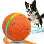 Interactive Dog Toy