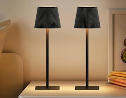 two cordless table lamps on a table