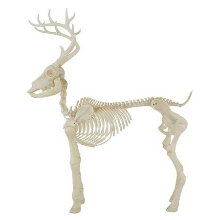 Way To Celebrate Deer Skeleton
