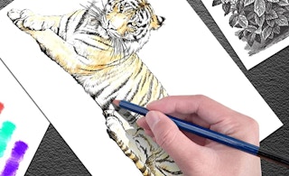 a person drawing with a pencil