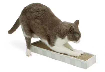 Singlewide Cardboard Cat Scratcher