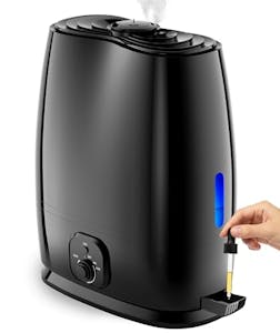 Everlasting Comfort Humidifier