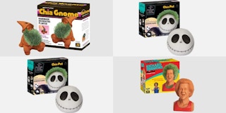 amazon-chia-pets