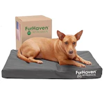 Furhaven Orthopedic Dog Bed